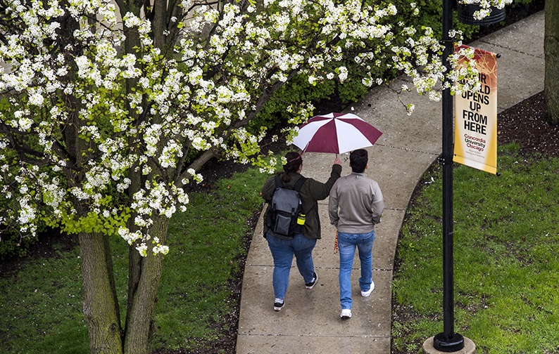Spring Scene on CUC campus-Students walking with umbrella with blossoms